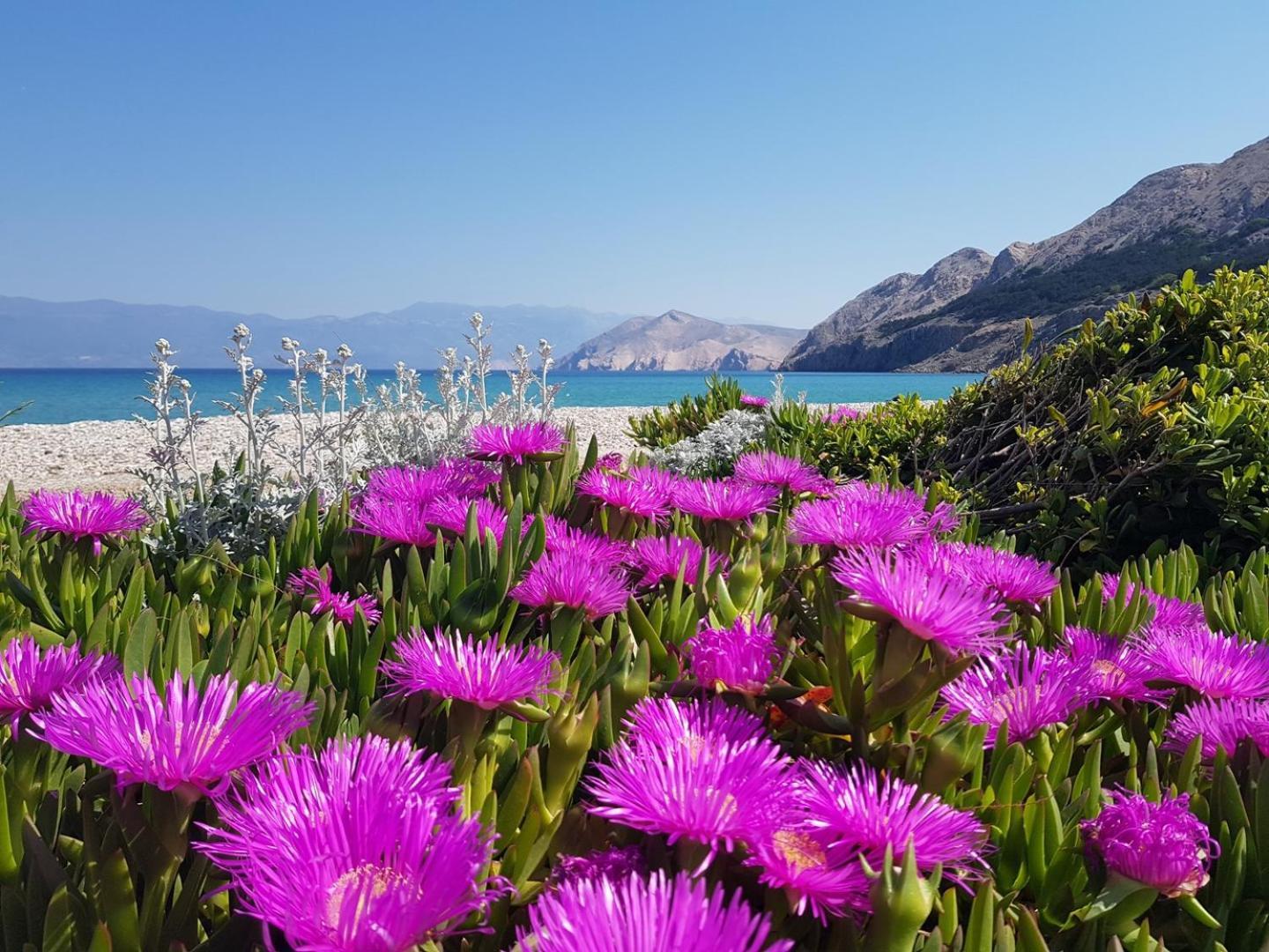 Apartments Mikulan Beach Baska  Exterior photo